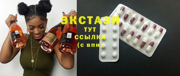 гидра Елизово