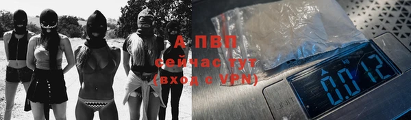 гидра Елизово