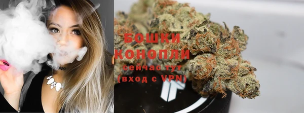 гидра Елизово