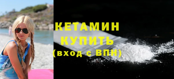 гидра Елизово