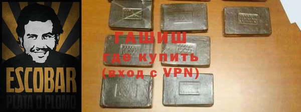гидра Елизово