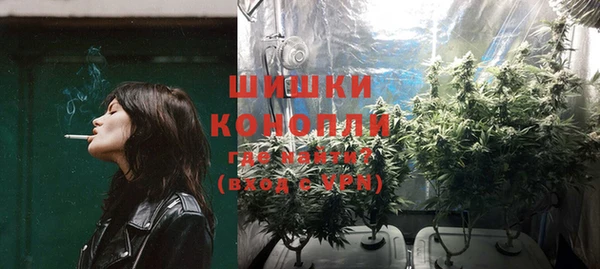 гидра Елизово