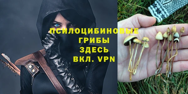гидра Елизово