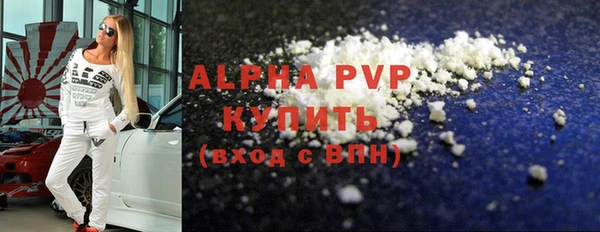 гидра Елизово